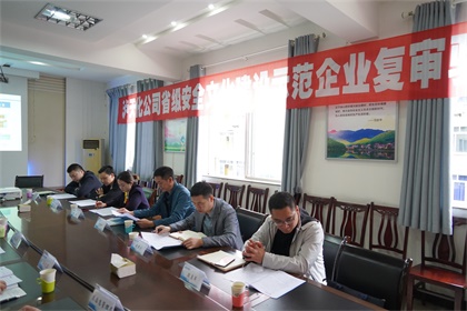 金沙澳门(中国)唯一官方网站安全文化示范企业复评验收 (5).JPG