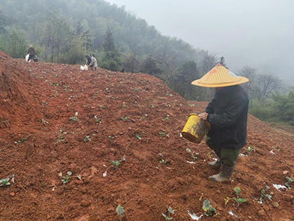 金沙澳门(中国)唯一官方网站股份公司春肥送暖助春耕