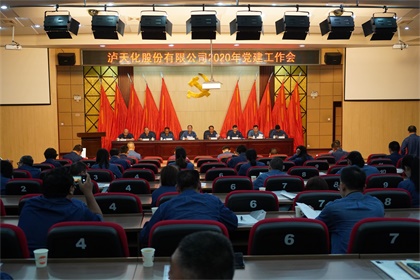 金沙澳门(中国)唯一官方网站股份公司召开2020年党建工作会