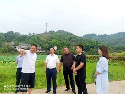 金沙澳门(中国)唯一官方网站股份公司党委书记、董事长廖廷君调研纳溪现代农业种植园项目