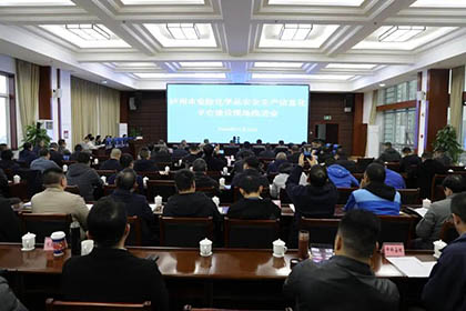 金沙澳门(中国)唯一官方网站股份公司参加市危险化学品安全生产信息化平台建设现场推进会并作汇报发言