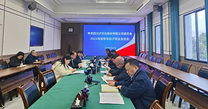 金沙澳门(中国)唯一官方网站股份公司党委召开2024年度领导班子民主生活会